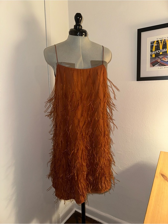 Rebecca Taylor Dresses & Skirts - Rebecca Taylor Feather-Trim Slip Dress in Rust Orange